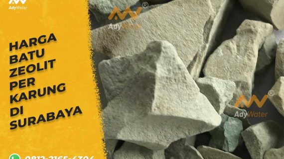 Harga Batu Zeolit Per Karung di Surabaya